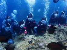 沖縄青の洞窟ダイビングショップ【マリンクラブクレアブログ】