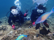 沖縄青の洞窟ダイビングショップ【マリンクラブクレアブログ】