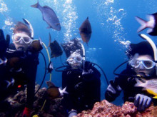 沖縄青の洞窟ダイビングショップ【マリンクラブクレアブログ】