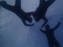 沖縄青の洞窟ダイビングショップ【マリンクラブクレアブログ】