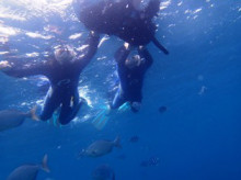 沖縄青の洞窟ダイビングショップ【マリンクラブクレアブログ】