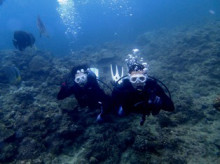 沖縄青の洞窟ダイビングショップ【マリンクラブクレアブログ】