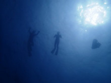 沖縄青の洞窟ダイビングショップ【マリンクラブクレアブログ】