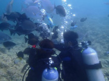 沖縄青の洞窟ダイビングショップ【マリンクラブクレアブログ】