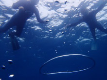 沖縄青の洞窟ダイビングショップ【マリンクラブクレアブログ】