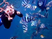 沖縄青の洞窟ダイビングショップ【マリンクラブクレアブログ】