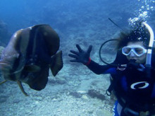 沖縄青の洞窟ダイビングショップ【マリンクラブクレアブログ】