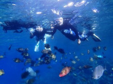 沖縄青の洞窟ダイビングショップ【マリンクラブクレアブログ】