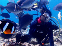 沖縄青の洞窟ダイビングショップ【マリンクラブクレアブログ】