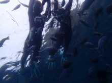 沖縄青の洞窟ダイビングショップ【マリンクラブクレアブログ】