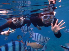 沖縄青の洞窟ダイビングショップ【マリンクラブクレアブログ】