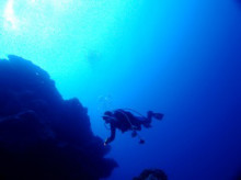 沖縄青の洞窟ダイビングショップ【マリンクラブクレアブログ】