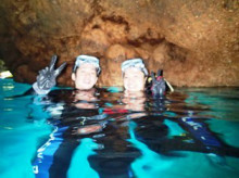 沖縄青の洞窟ダイビングショップ【マリンクラブクレアブログ】