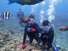 沖縄青の洞窟ダイビングショップ【マリンクラブクレアブログ】