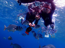 沖縄青の洞窟ダイビングショップ【マリンクラブクレアブログ】