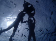 沖縄青の洞窟ダイビングショップ【マリンクラブクレアブログ】