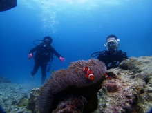 沖縄青の洞窟ダイビングショップ【マリンクラブクレアブログ】