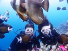 沖縄青の洞窟ダイビングショップ【マリンクラブクレアブログ】