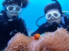 沖縄青の洞窟ダイビングショップ【マリンクラブクレアブログ】