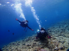 沖縄青の洞窟ダイビングショップ【マリンクラブクレアブログ】