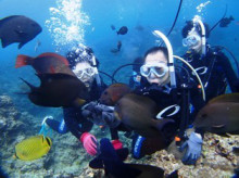 沖縄青の洞窟ダイビングショップ【マリンクラブクレアブログ】