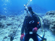 沖縄青の洞窟ダイビングショップ【マリンクラブクレアブログ】