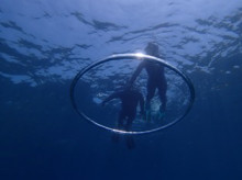 沖縄青の洞窟ダイビングショップ【マリンクラブクレアブログ】