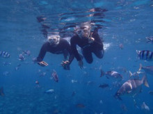 沖縄青の洞窟ダイビングショップ【マリンクラブクレアブログ】