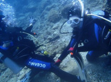 沖縄青の洞窟ダイビングショップ【マリンクラブクレアブログ】