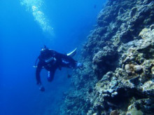 沖縄青の洞窟ダイビングショップ【マリンクラブクレアブログ】