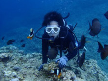 沖縄青の洞窟ダイビングショップ【マリンクラブクレアブログ】