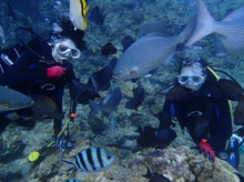 沖縄青の洞窟ダイビングショップ【マリンクラブクレアブログ】