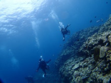 沖縄青の洞窟ダイビングショップ【マリンクラブクレアブログ】