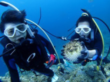 沖縄青の洞窟ダイビングショップ【マリンクラブクレアブログ】