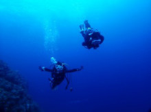 沖縄青の洞窟ダイビングショップ【マリンクラブクレアブログ】