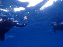 沖縄青の洞窟ダイビングショップ【マリンクラブクレアブログ】