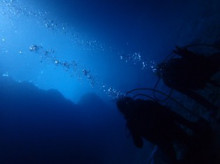 沖縄青の洞窟ダイビングショップ【マリンクラブクレアブログ】