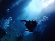 沖縄青の洞窟ダイビングショップ【マリンクラブクレアブログ】