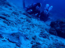 沖縄青の洞窟ダイビングショップ【マリンクラブクレアブログ】