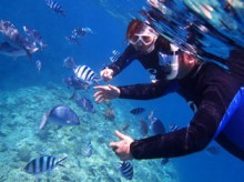 沖縄青の洞窟ダイビングショップ【マリンクラブクレアブログ】