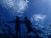 沖縄青の洞窟ダイビングショップ【マリンクラブクレアブログ】