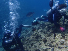 沖縄青の洞窟ダイビングショップ【マリンクラブクレアブログ】