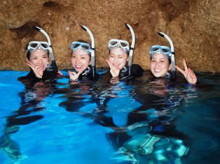 沖縄青の洞窟ダイビングショップ【マリンクラブクレアブログ】