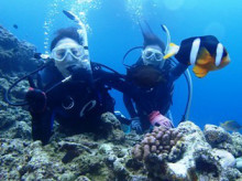 沖縄青の洞窟ダイビングショップ【マリンクラブクレアブログ】