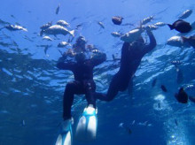 沖縄青の洞窟ダイビングショップ【マリンクラブクレアブログ】