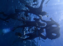 沖縄青の洞窟ダイビングショップ【マリンクラブクレアブログ】