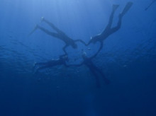 沖縄青の洞窟ダイビングショップ【マリンクラブクレアブログ】