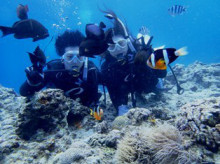 沖縄青の洞窟ダイビングショップ【マリンクラブクレアブログ】