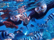 沖縄青の洞窟ダイビングショップ【マリンクラブクレアブログ】