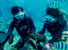 沖縄青の洞窟ダイビングショップ【マリンクラブクレアブログ】